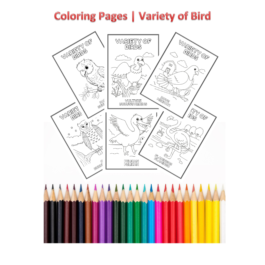 

MURAH ! Coloring Pages / Variety of Bird / Berbagai Jenis Burung / Lembar Mewarnai / Kertas Mewarnai