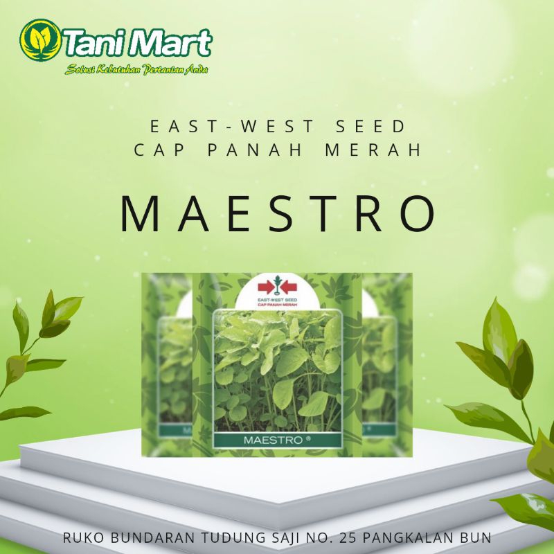 

BENIH BAYAM MAESTRO CAP PANAH MERAH