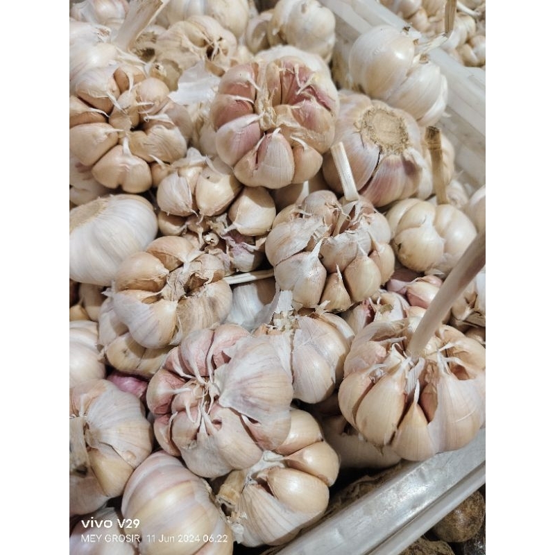 

BAWANG PUTIH 1 KG