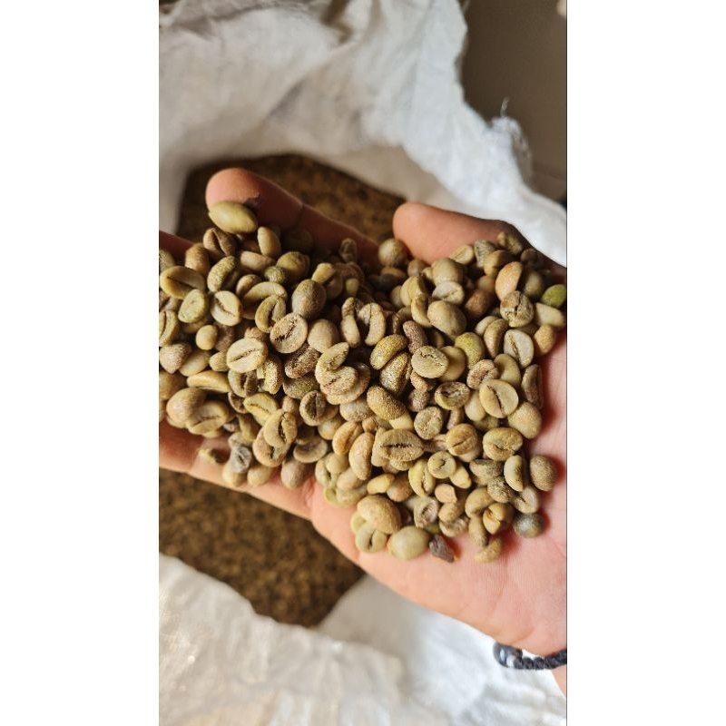 

Kopi Robusta Temanggung Natural Green Bean 1 KG MURAH