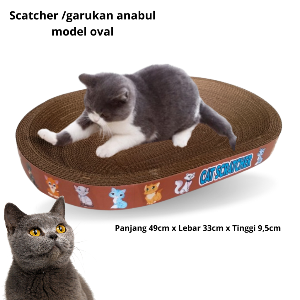 Garukan Kucing untuk Melatih Kekuatan Kuku Anabul - OVAL