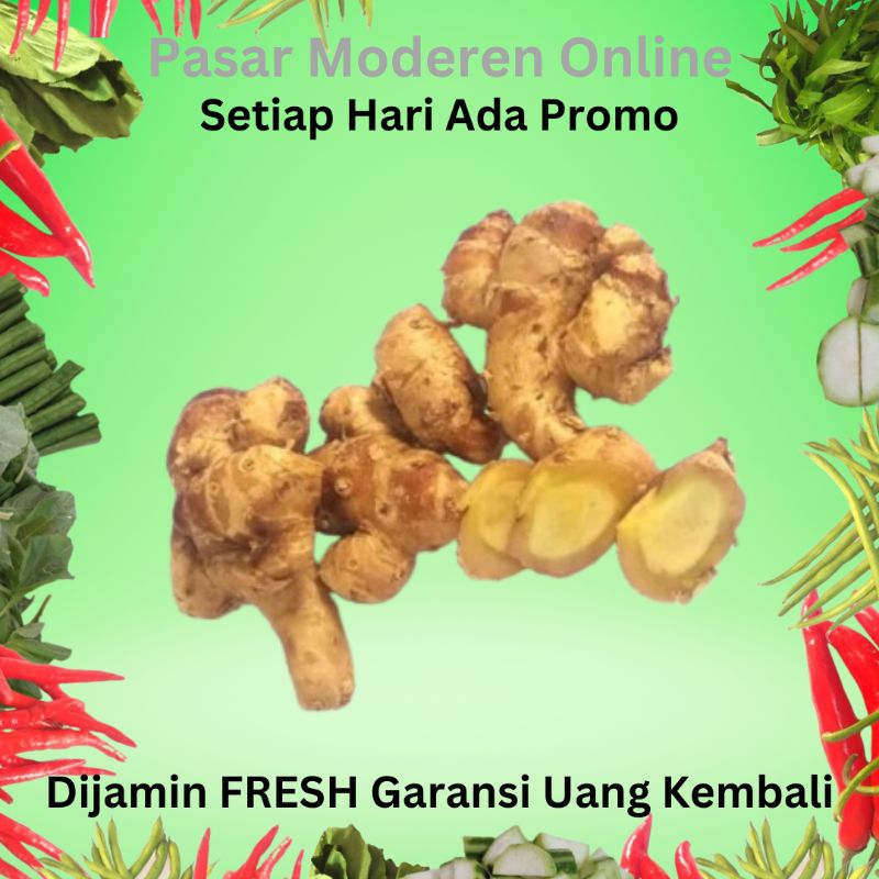 

KENCUR/BUMBU DAPUR/BUMBU REMPAH-100 GRAM