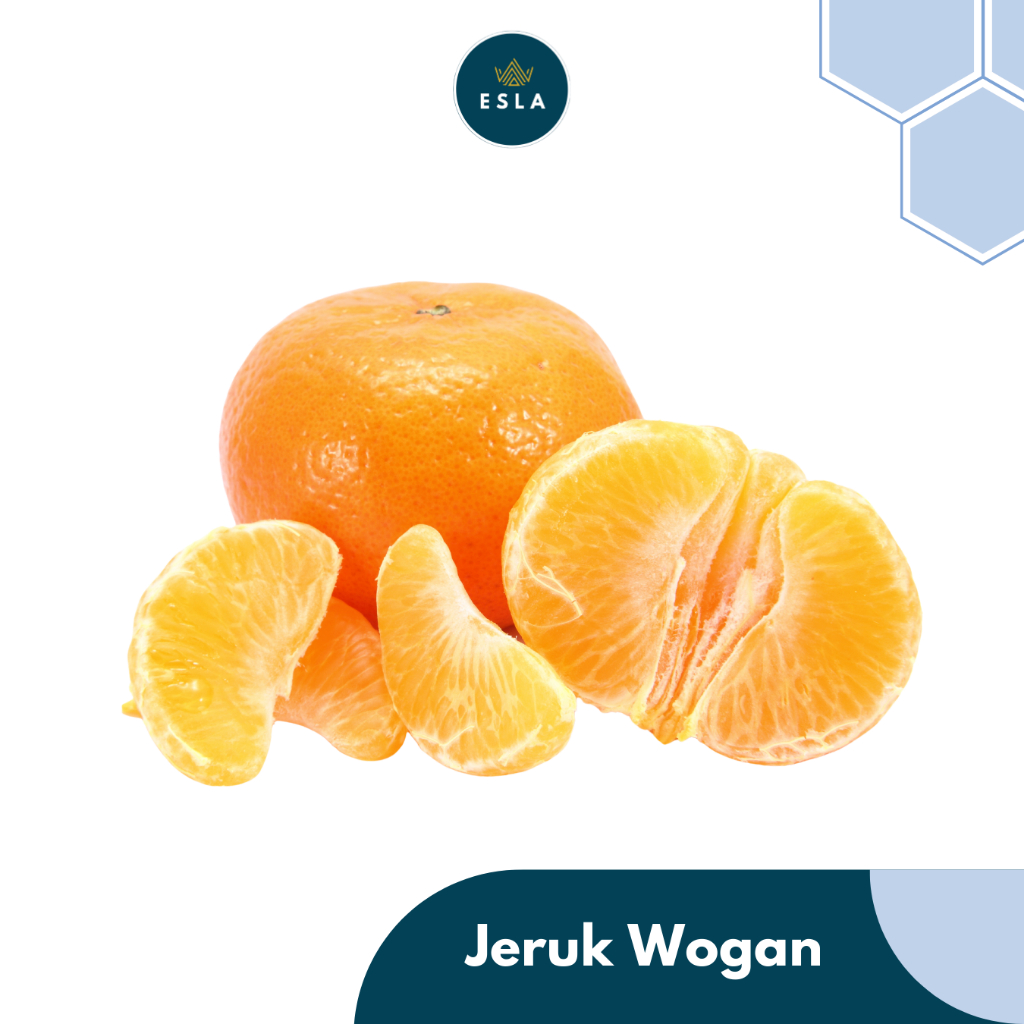 

JERUK WOGAN I Buah Fresh dan Premium - ESLA