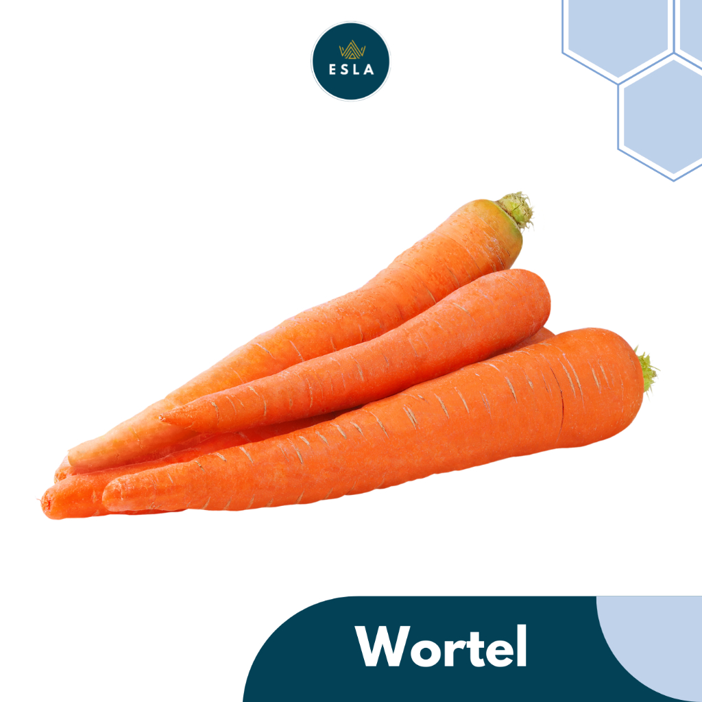 

WORTEL I Sayur Fresh dan Premium - ESLA