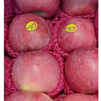 

apel fuji fresco besar
