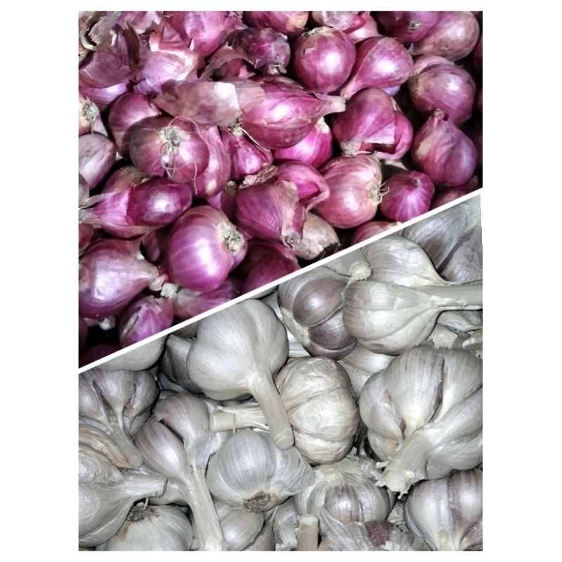 

Promo Paket Bawang merah dan bawang putih, brambang bawang