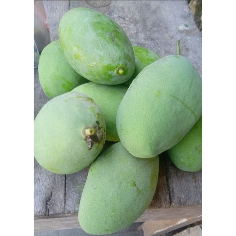 

Mangga muda rujak 1 kg