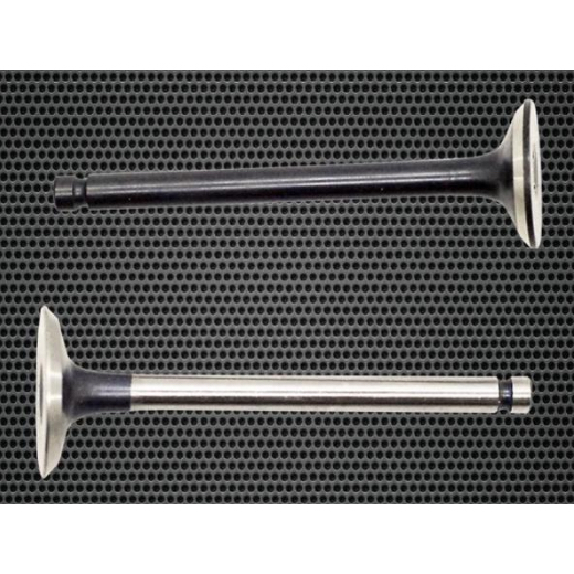 Klep In / Ex K81 Beat ESP / Beat POP Takayama