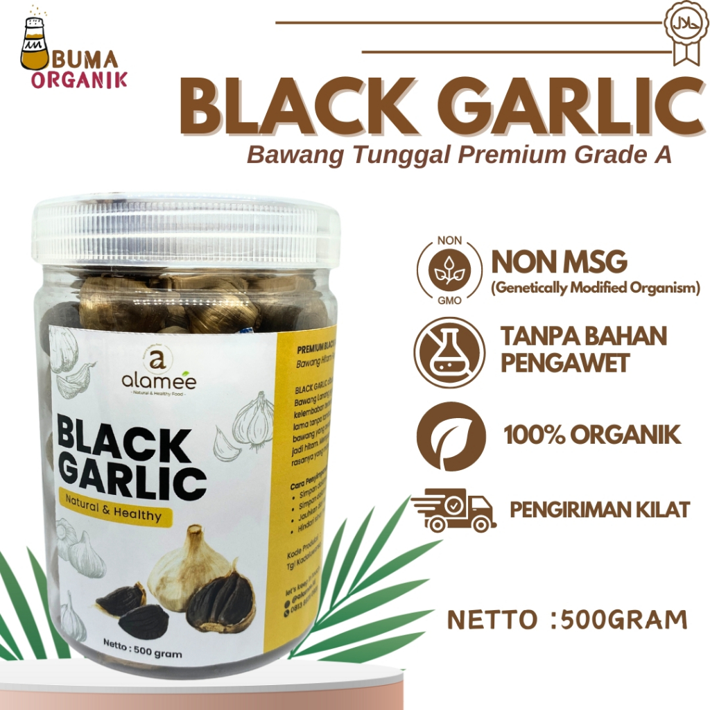 

Black Garlic Bawang Hitam Tunggal 500gr Lanang Herbal Alami Natural Premium Bawang Hitam Premium 500Gram