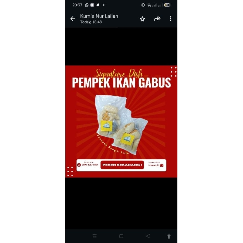 

PEMPEK IKAN GABUS PREMIUM