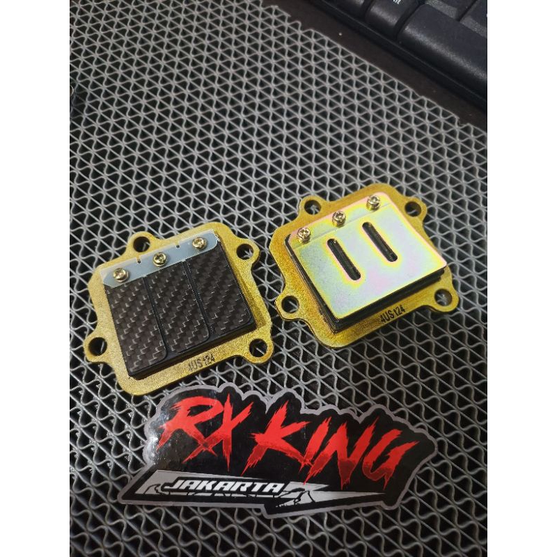 MEMBRAN FIZ R FIZR RACING LIDAH KARBON