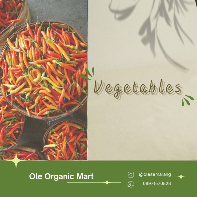 

Cabai Fresh - Ole Organic Mart