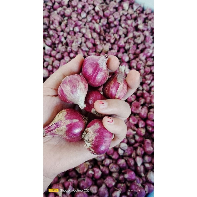

bwang merah tanggung besar Probolinggo 1kg