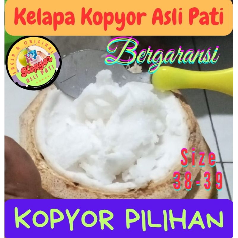 

Buah Kelapa Kopyor [size : 38-39] Asli Pati