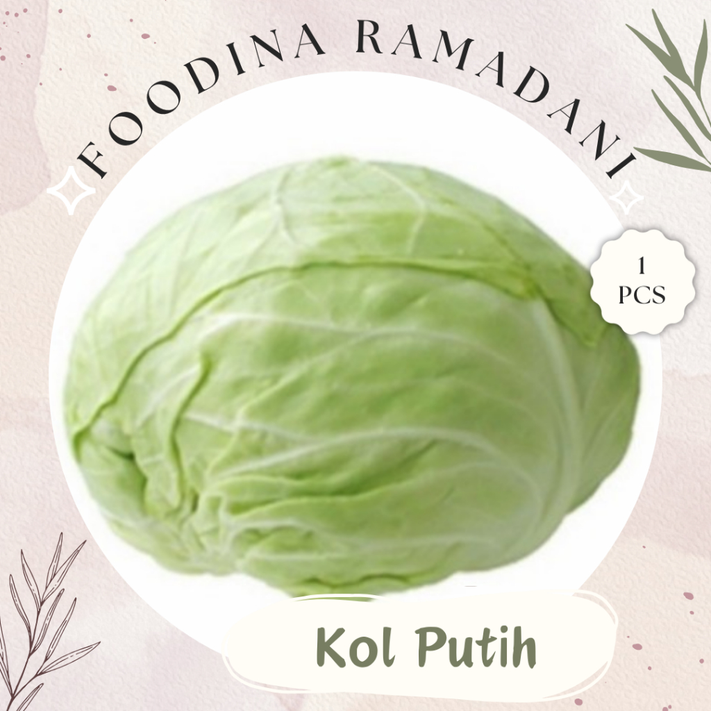 

KOL Kubis Putih - Cabbage Fresh [ Size 1.6-2 Kg ] Harga Per PCS