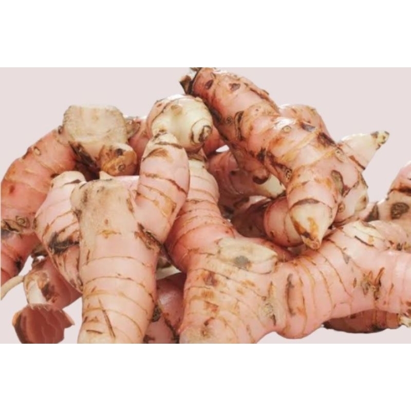 

lengkuas dadakan, fresh segar daun rempah asli