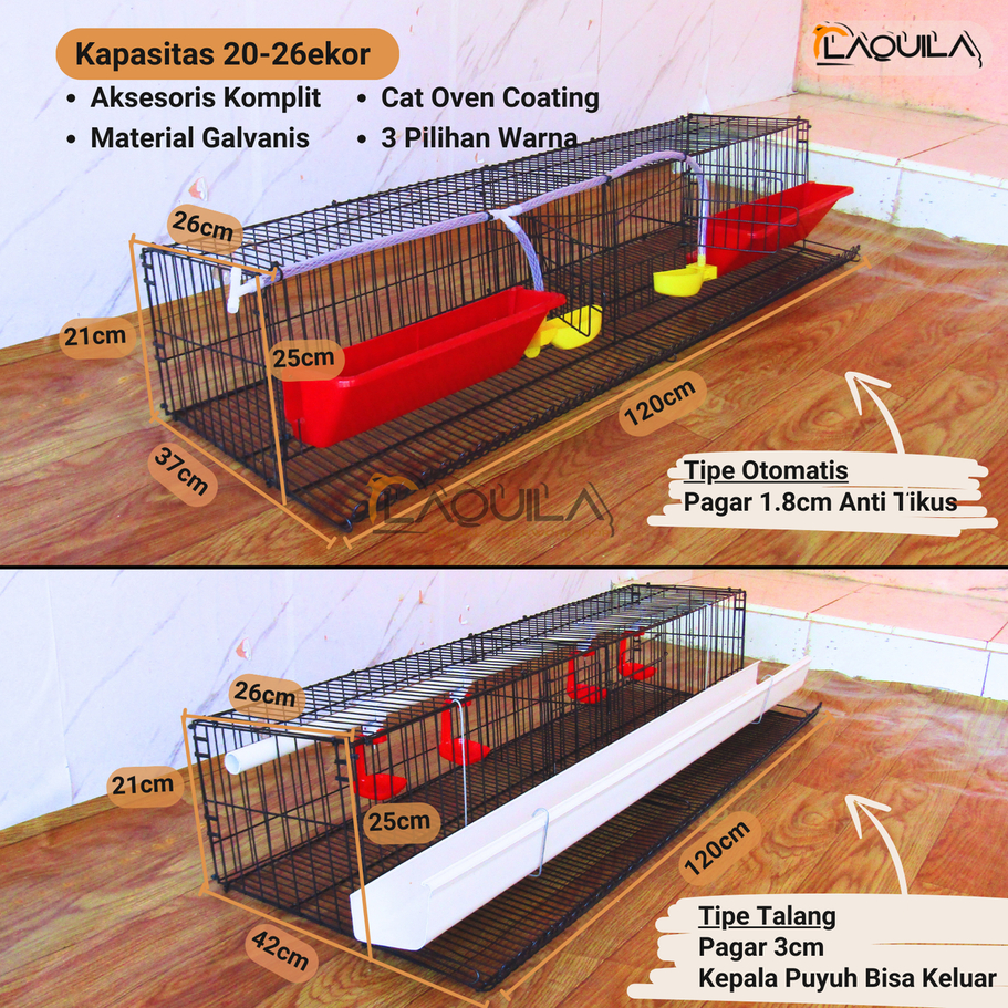 Kandang Galvanis Puyuh Petelur 20 - 26 Ekor
