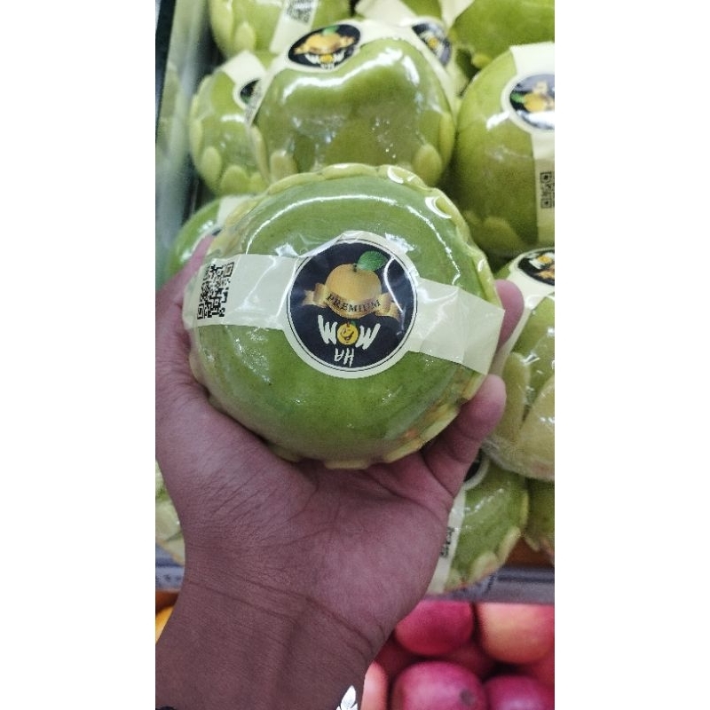 

BUAH PEAR CUI YU RRC | PEAR GREEN RRC ASLI 1 KG