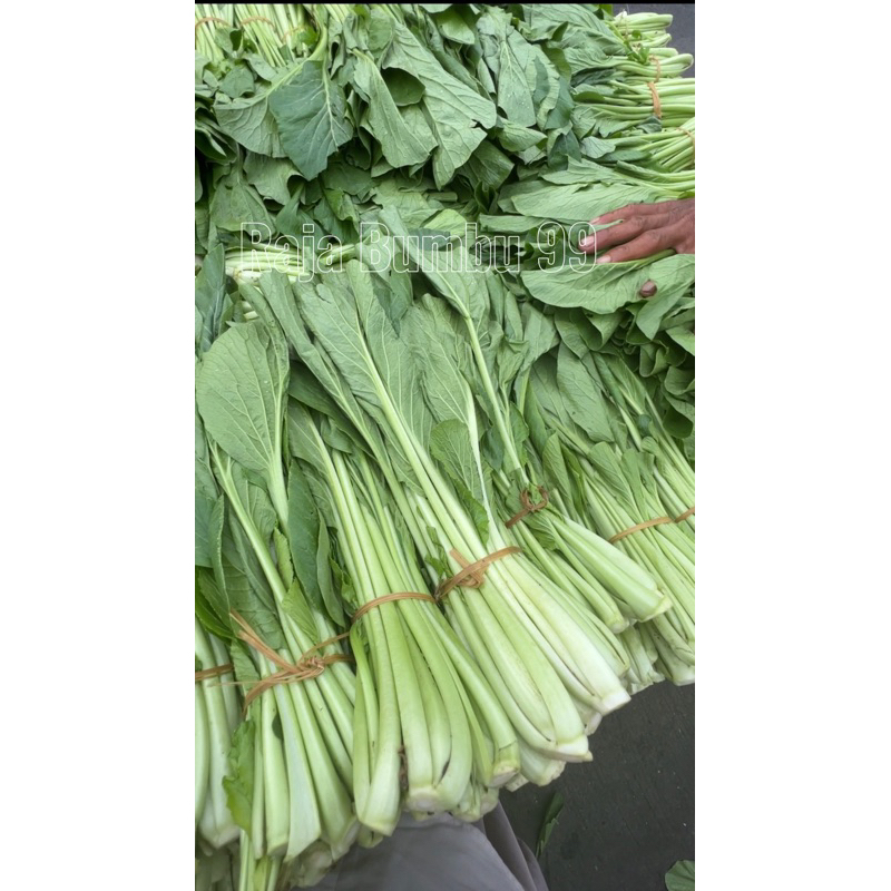 

Sayur sawi hijau / Sawi air 500gr