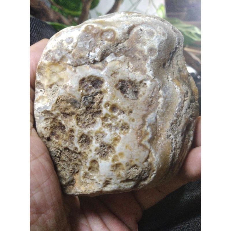 Bongkahan Batu/Akik/Rough/unikl/Motif/Sulaiman