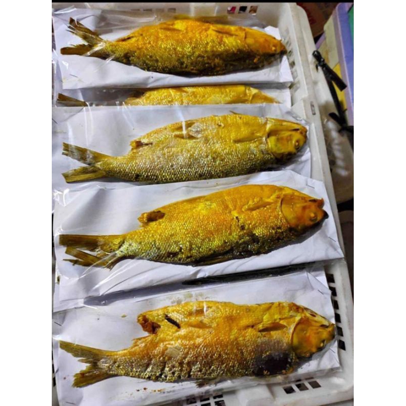

BANDENG PRESTO SUPER FRES 1KG ISI 4 EKOR VAKUM BASAH (-+ 250gr/ekor)