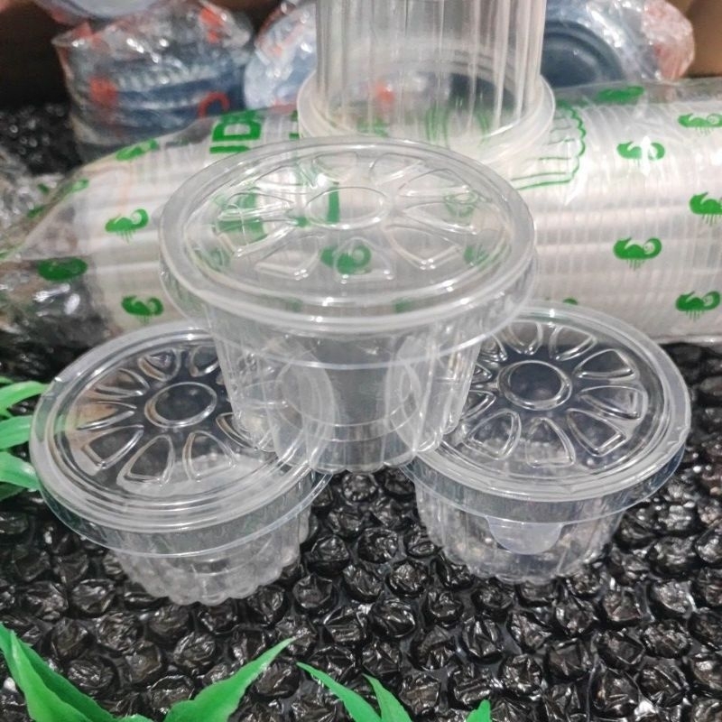 Gelas Gelas Plastik Bening 60ml Belimbing Cup Agar agar / Cup Jelly Pudding Isi 50 + Tutup