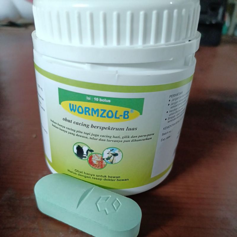 wormzol-b