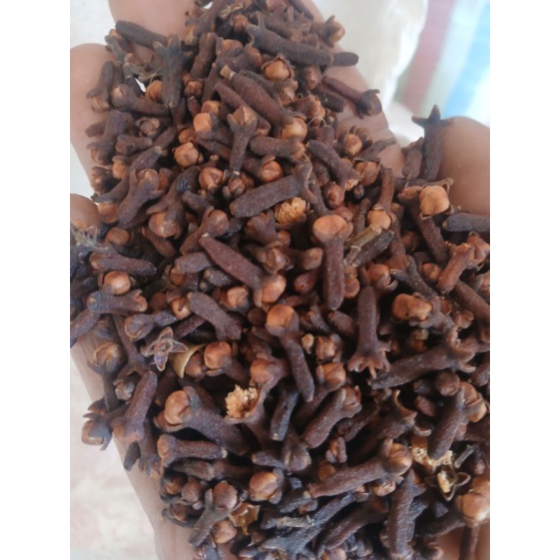 

Cengkeh Kering Patah Jarum