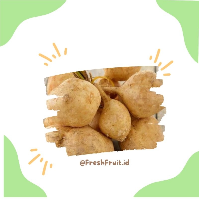 

Bengkoang Fresh segar 1 Kg (Khusus Same day/Instant) |FreshFruits.id
