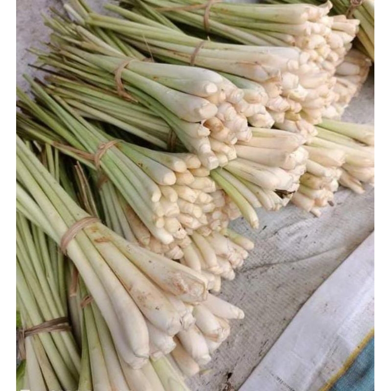 

Sereh bumbu dapur segar 1 kg