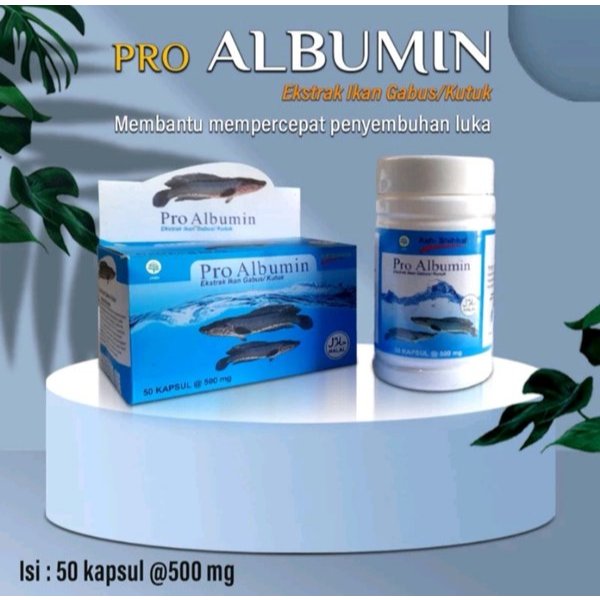 Pro Albumin 100% Ekstrak Ikan Gabus / Kutuk - Kapsul Albumin Ikan Gabus - 50 kapsul