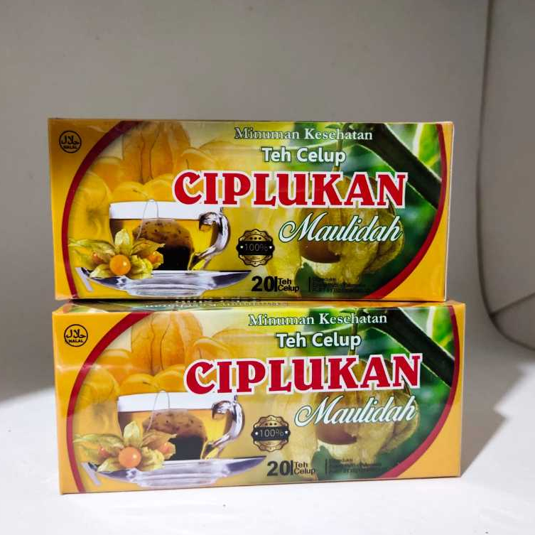 

Teh celup daun ciplukan maulidah isi 20 sachet