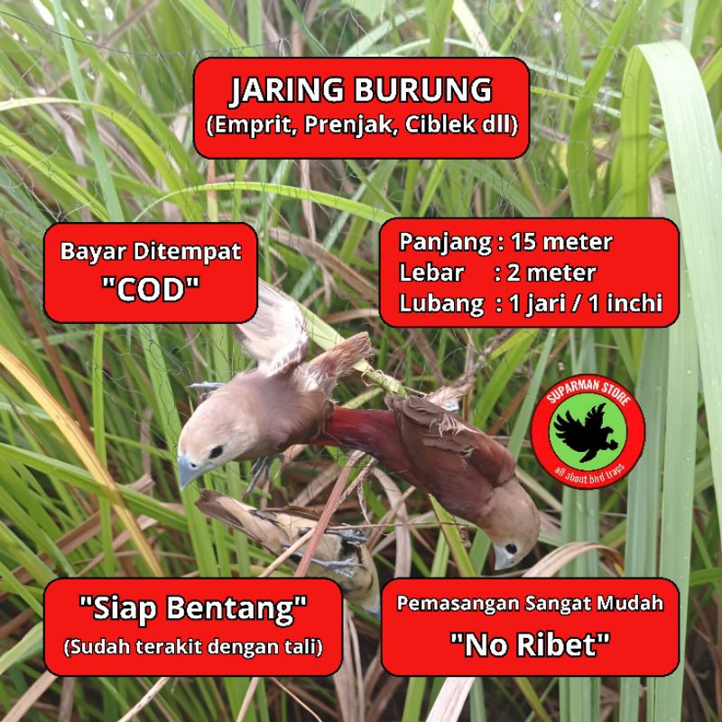 JARING BURUNG EMPRIT10 HAJI JARING BURUNG KECIL JARING BURUNG SAWAH JARING BURUNG PIPIT PEKING MURAH