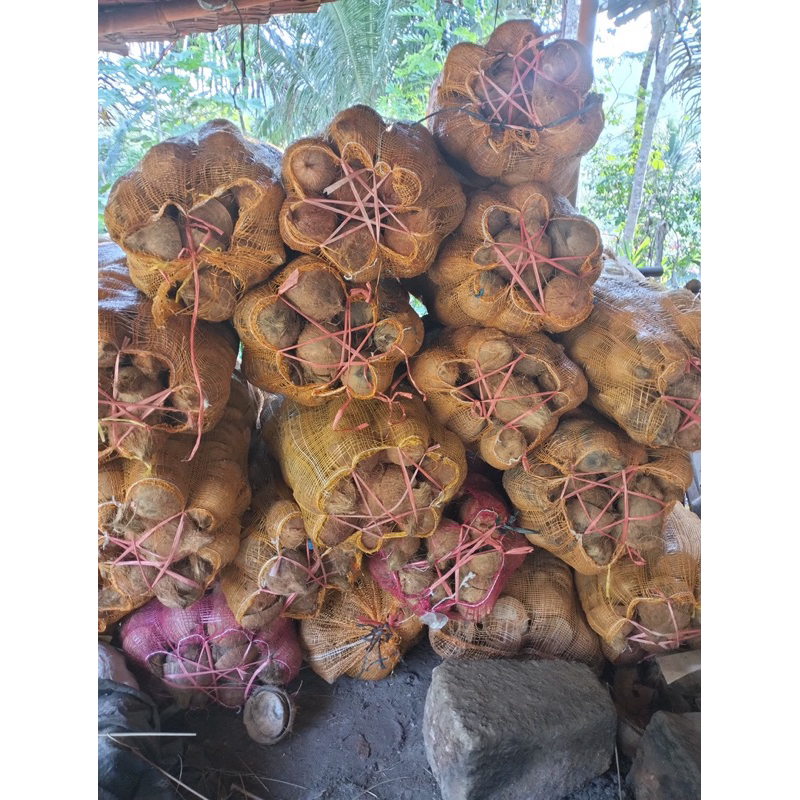 

batok kelapa belah 1kg bahan kerajinan