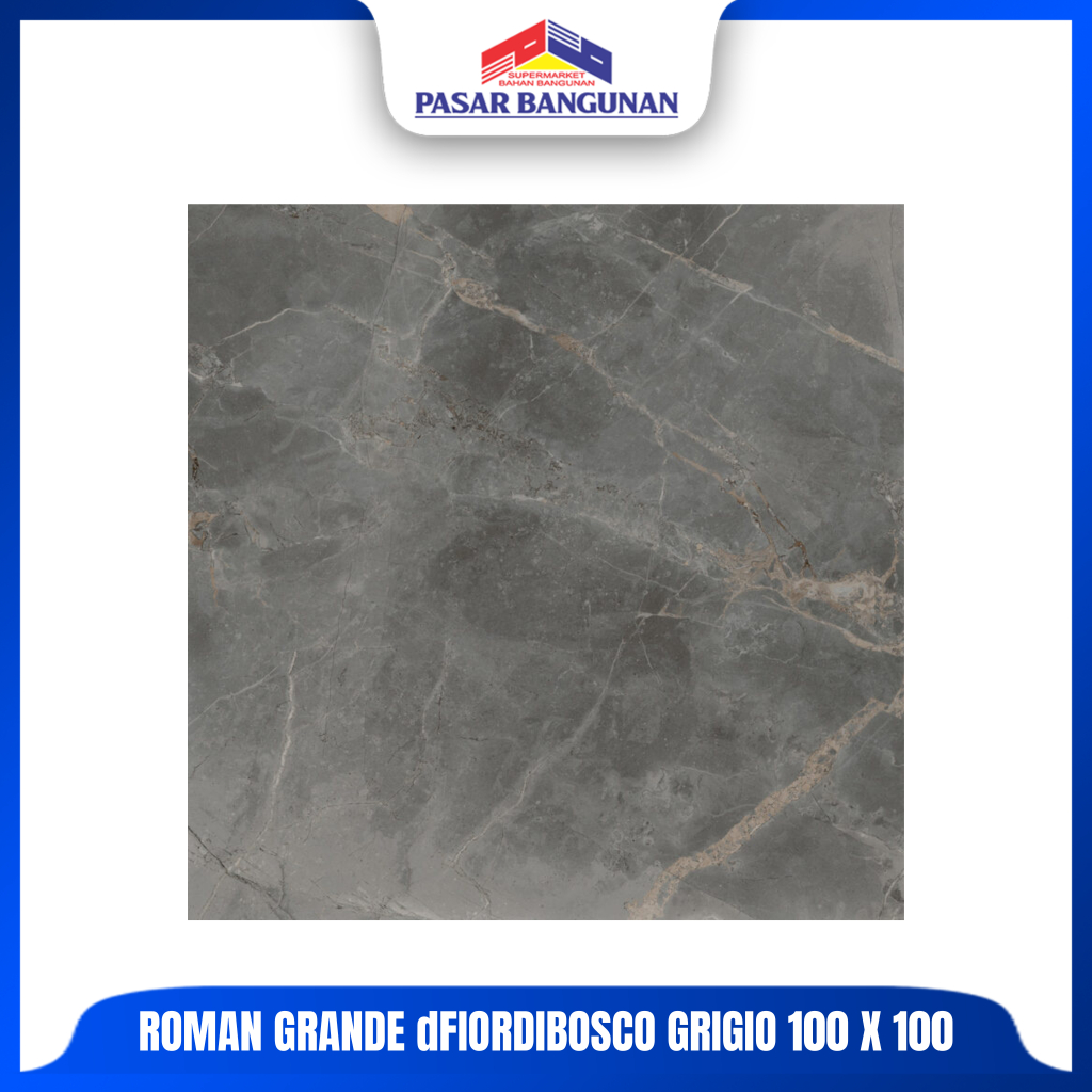 Roman Granit Grande dFiordibosco Grigio 100x100