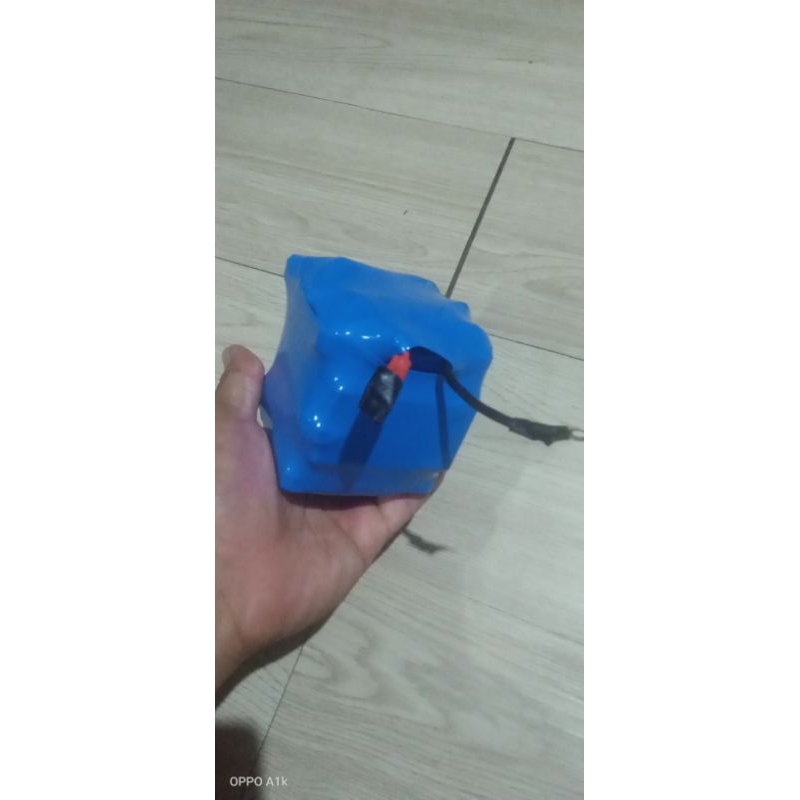 Lifepo4 Aki Motor 12v 4Ah / 5Ah / 6Ah +BMS 12v 100A
