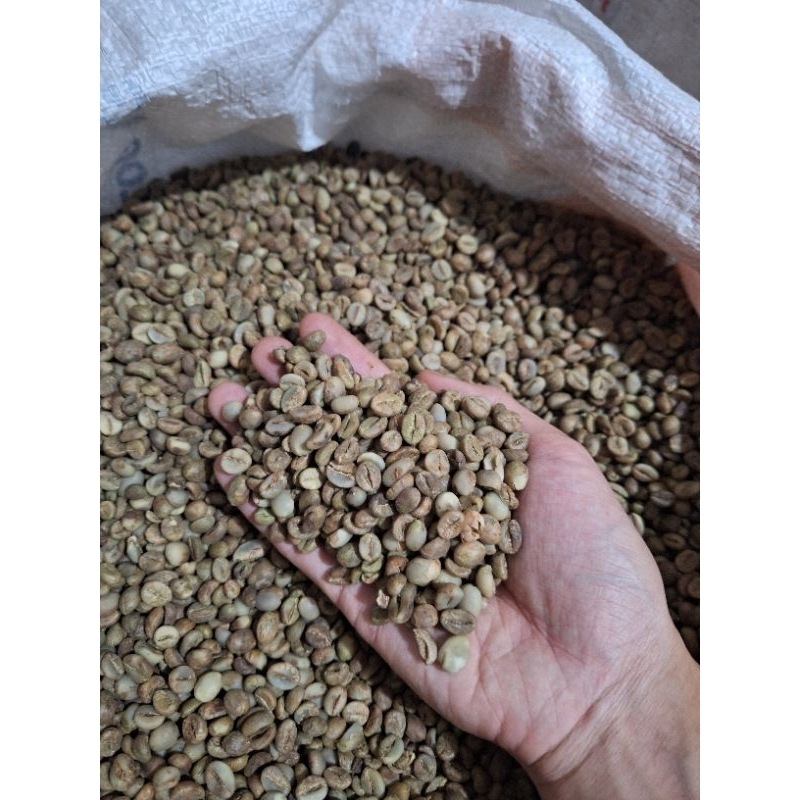 

(ready) GREEN BEANS ROBUSTA BATANG 5 Kg