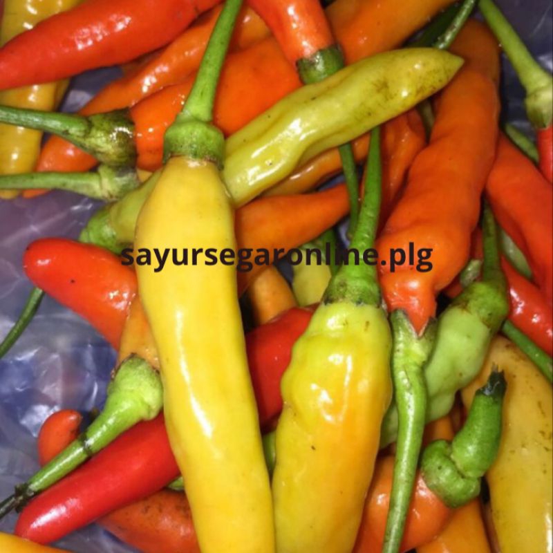 

CABE Burung / CABE Setan (100 gr) - Sayur Online Palembang