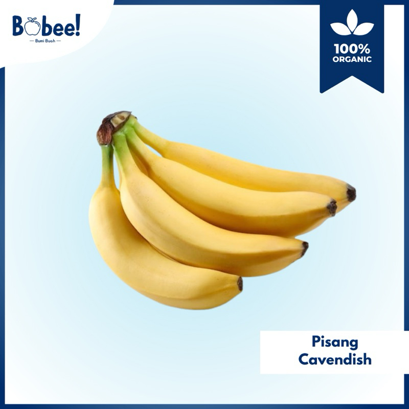 

Pisang Cavendish Sunpride 1 Sisir (isi 4-5) Super Fresh & Premium | Bobee.official - (Instant/Sameday)