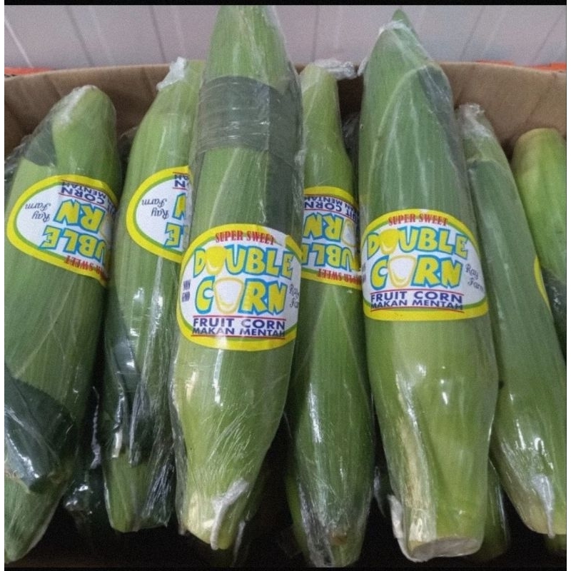

Jagung Super Manis | Jagung Double Corn Bisa Di Makan Mentah