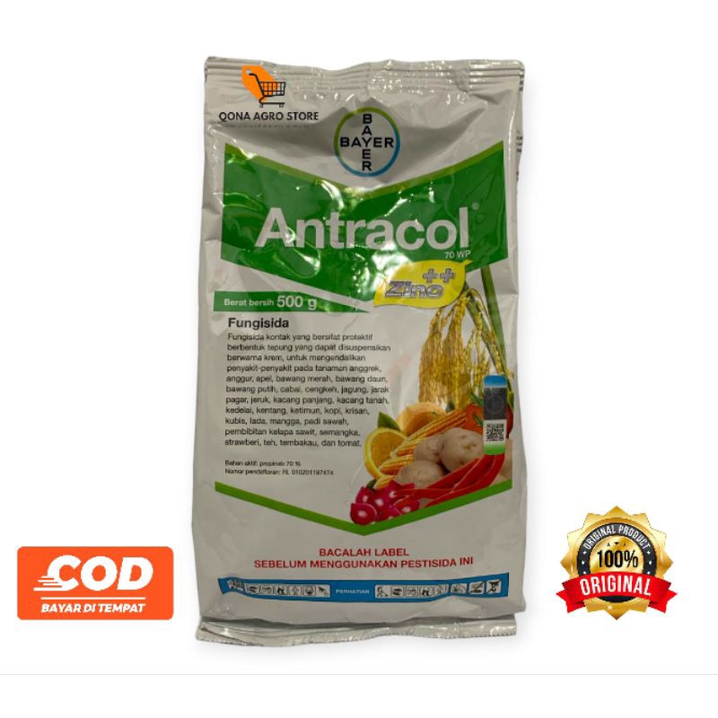 ANTRACOL 250 GRAM FUNGISIDA