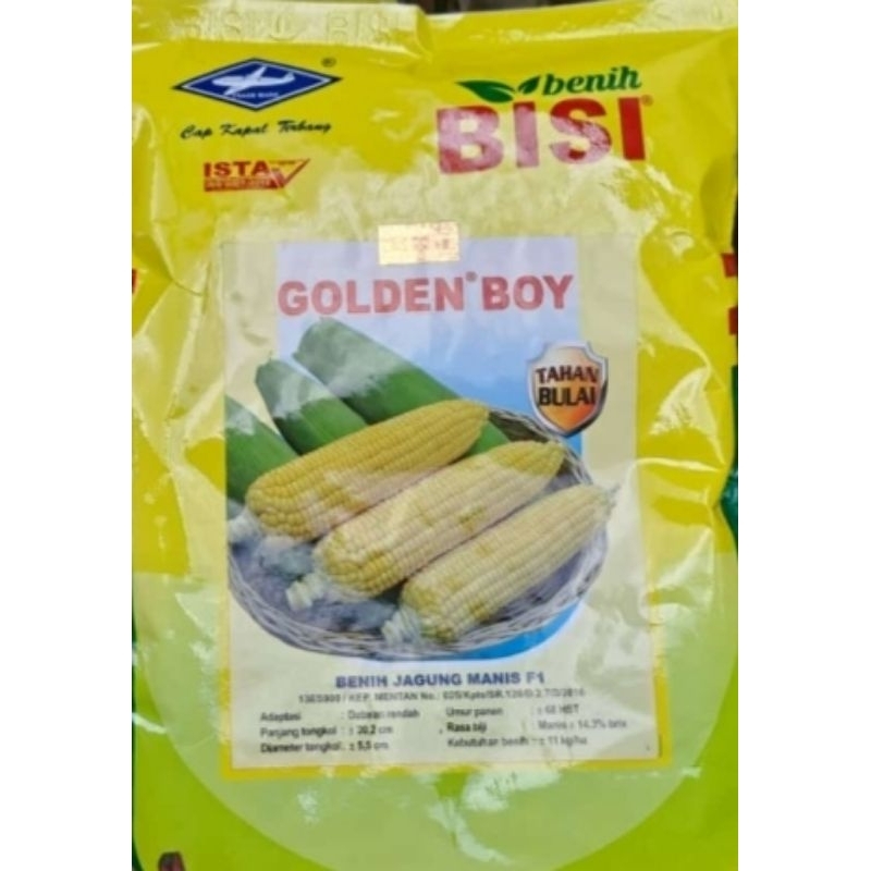 BENIH JAGUNG MANIS GOLDEN BOY 250 GRAM