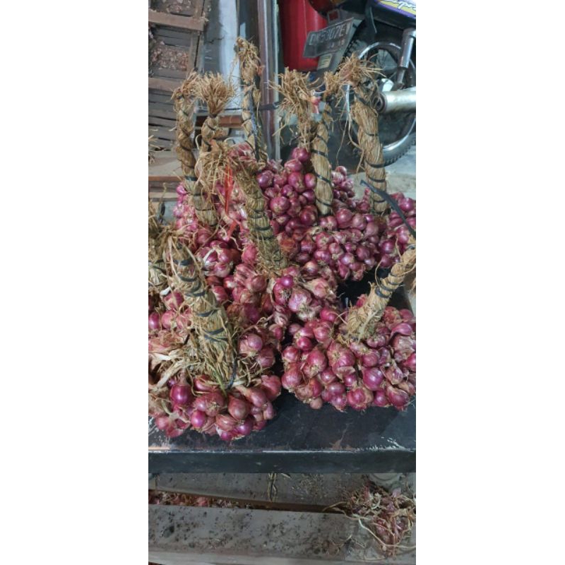 

bawang merah