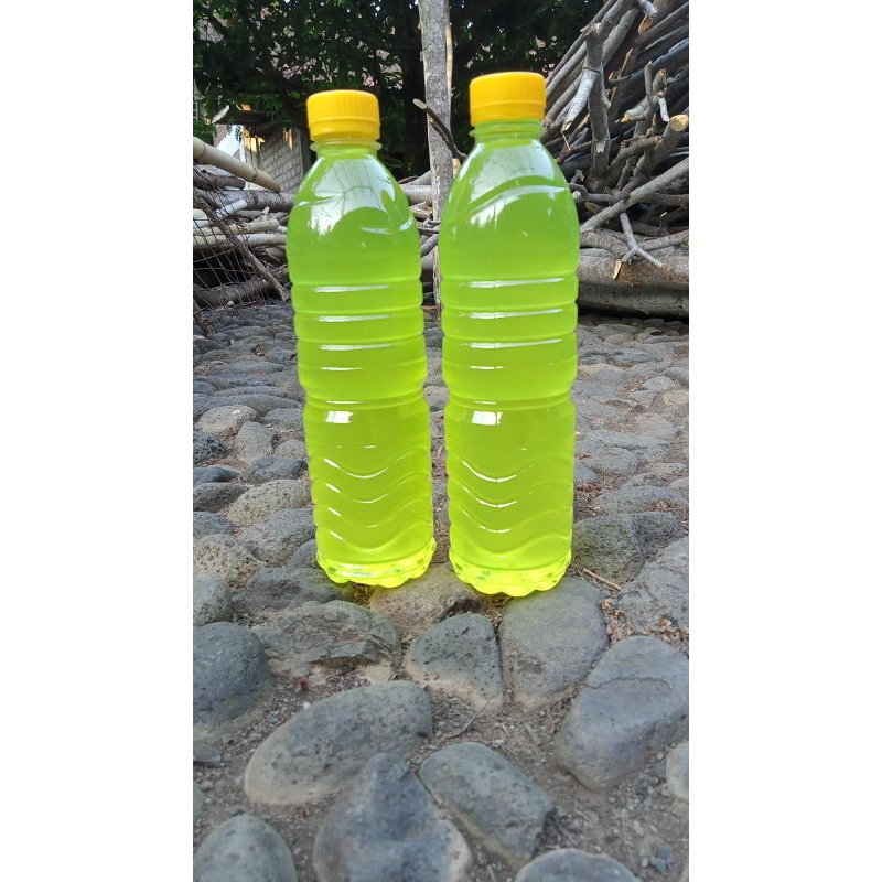 

Minyak kelapa asli tradisional