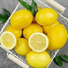 

Buah lemon fresh 1kg lemon california matang pohon