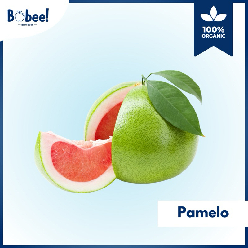 

Buah Jeruk Pamelo 1 Pcs Fresh & Premium | Bobee.official - (Instant/Sameday)