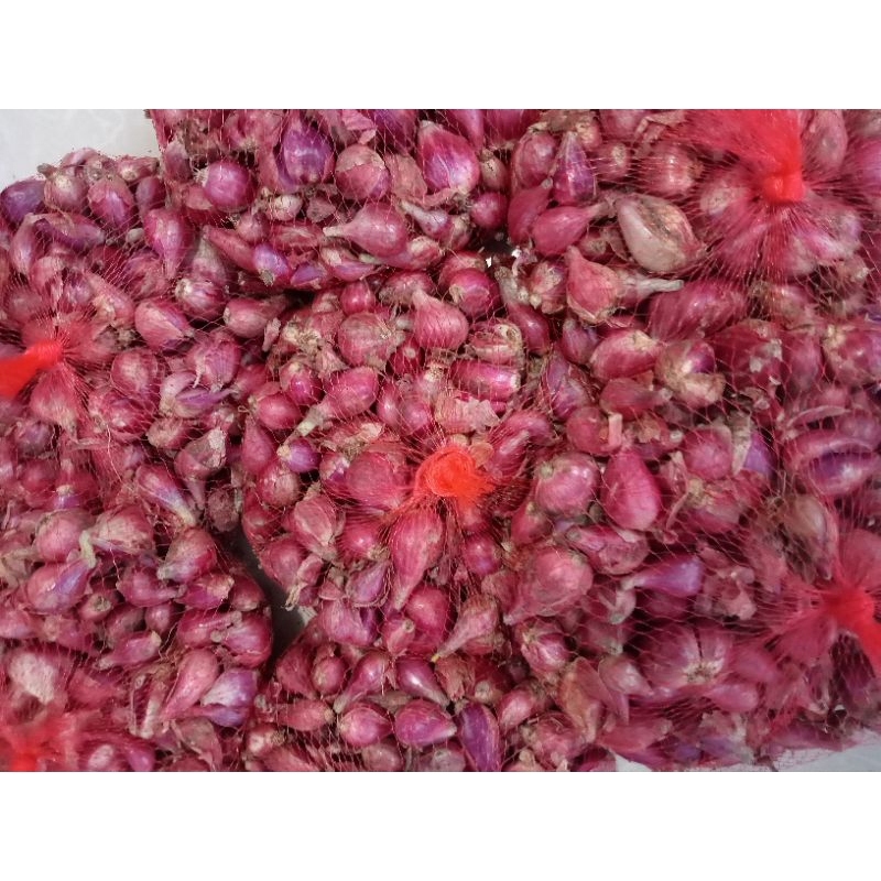 

bawang merah super 1 kg