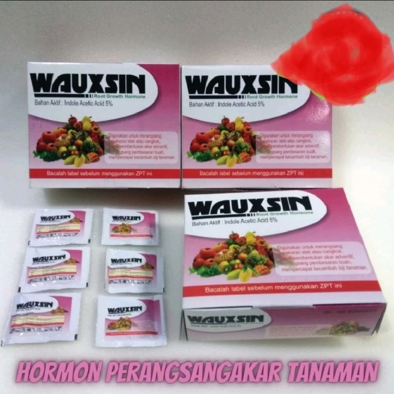 WAUXSIN auxin ZPT akar Hormon Perangsang dan Penumbuh akar