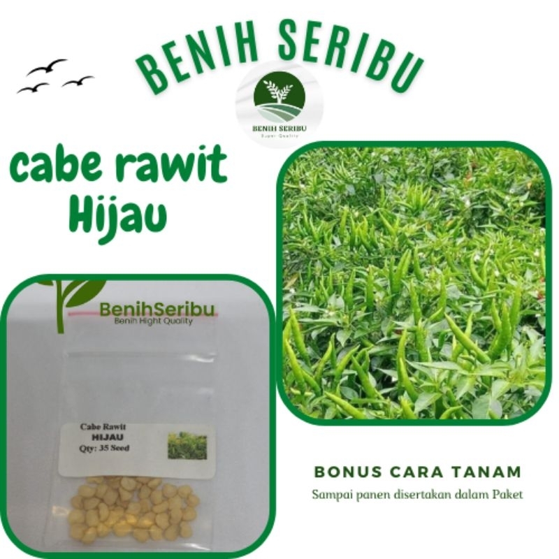 35± Biji - Benih Cabe Rawit Hijau F1