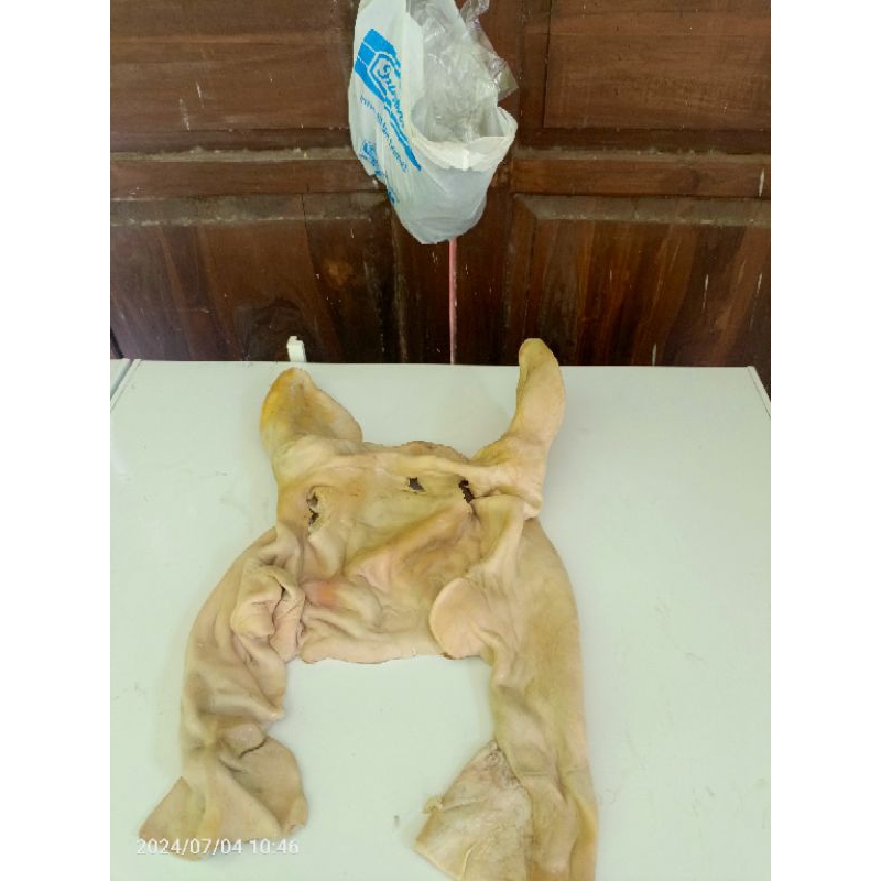 

Promo Kulit Kepala Sapi